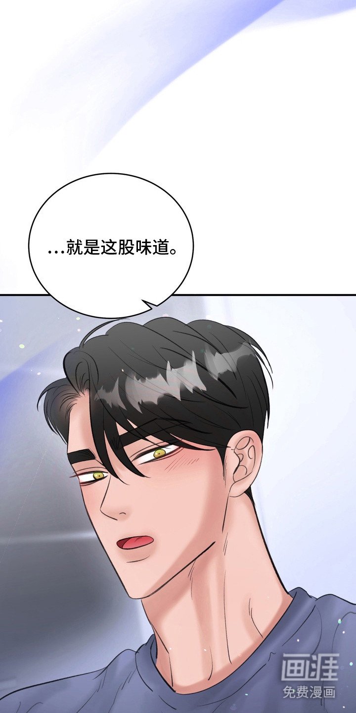 第14章：香味