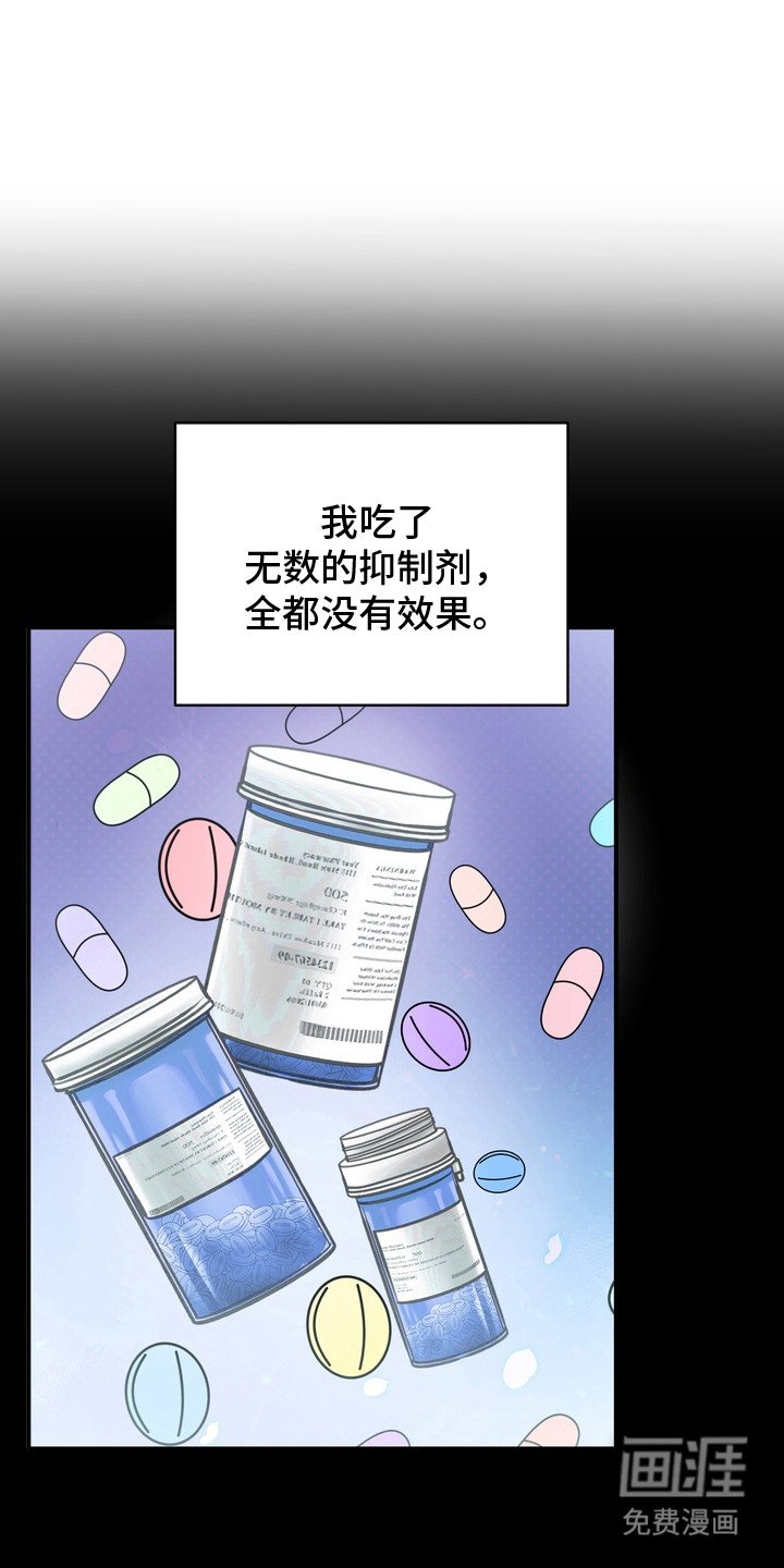 第3章：信息素