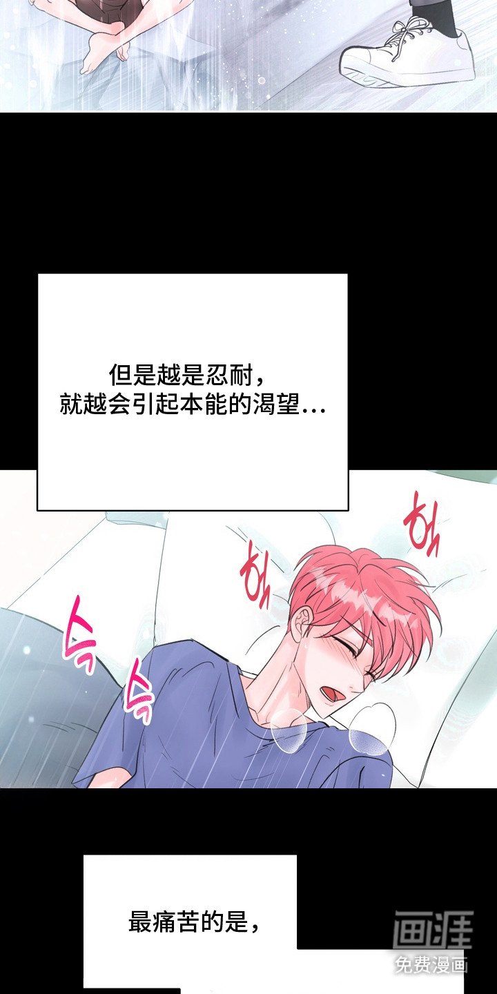 第3章：信息素