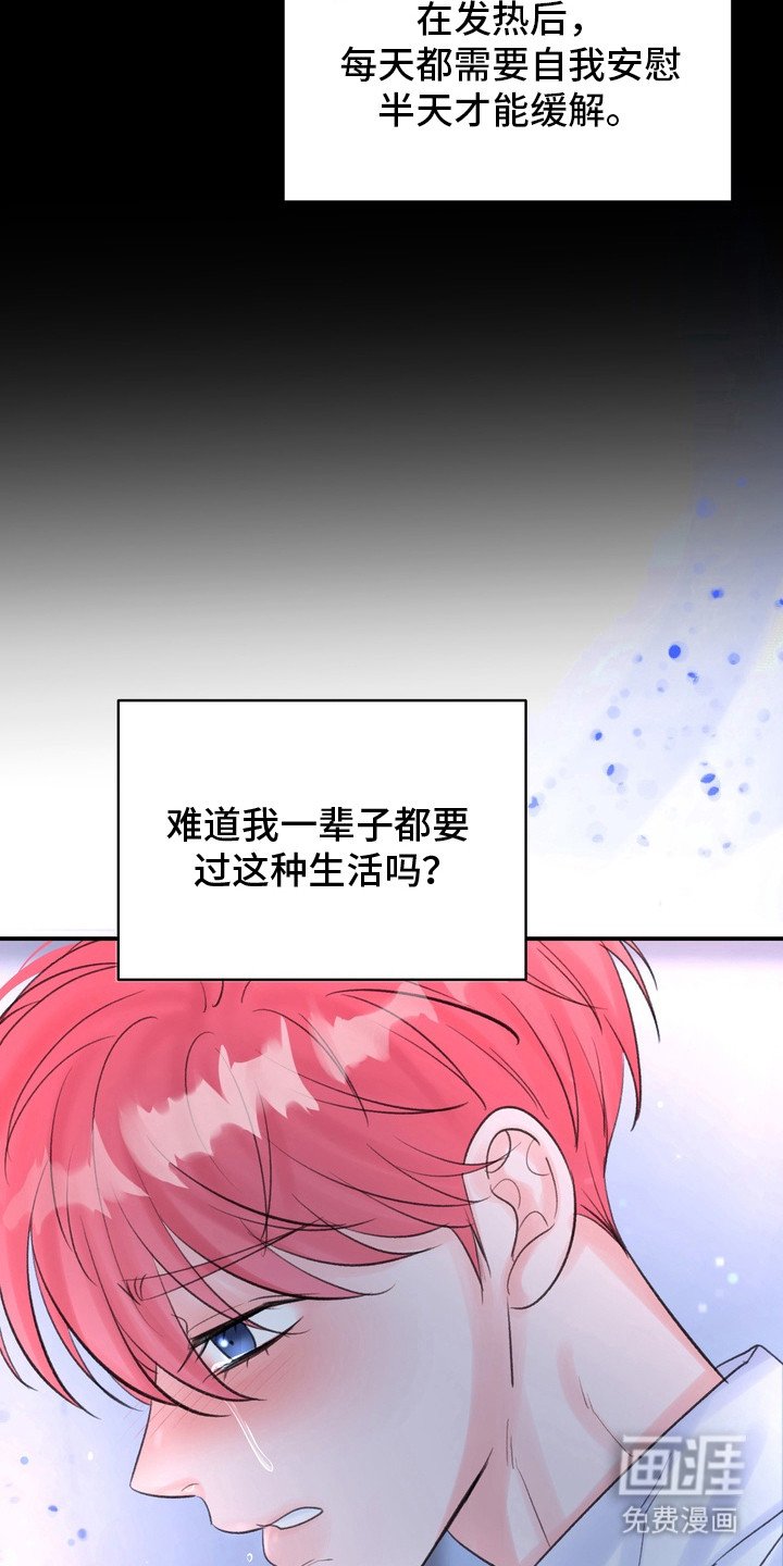 第3章：信息素