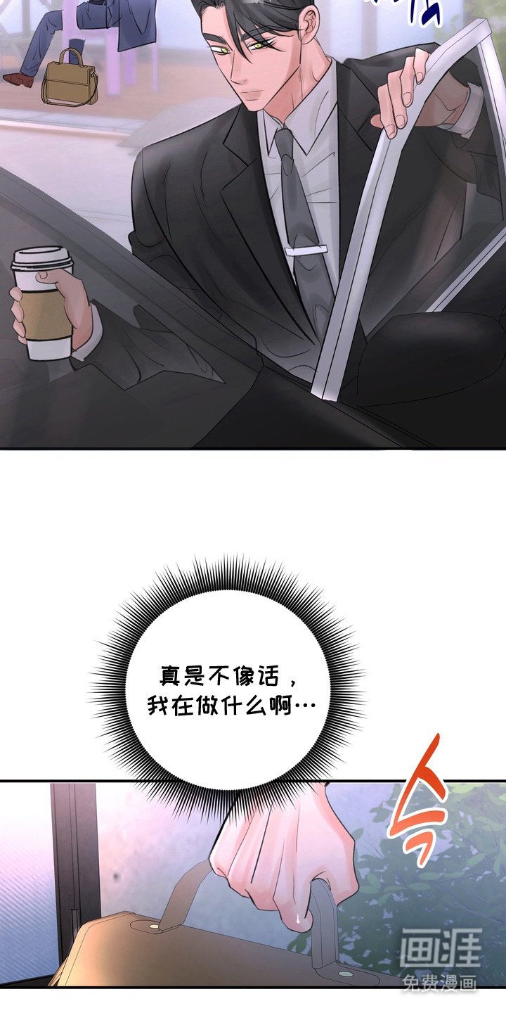 第3章：信息素