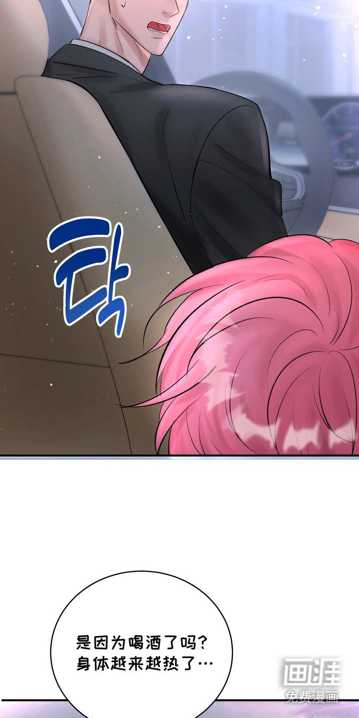 第3章：信息素