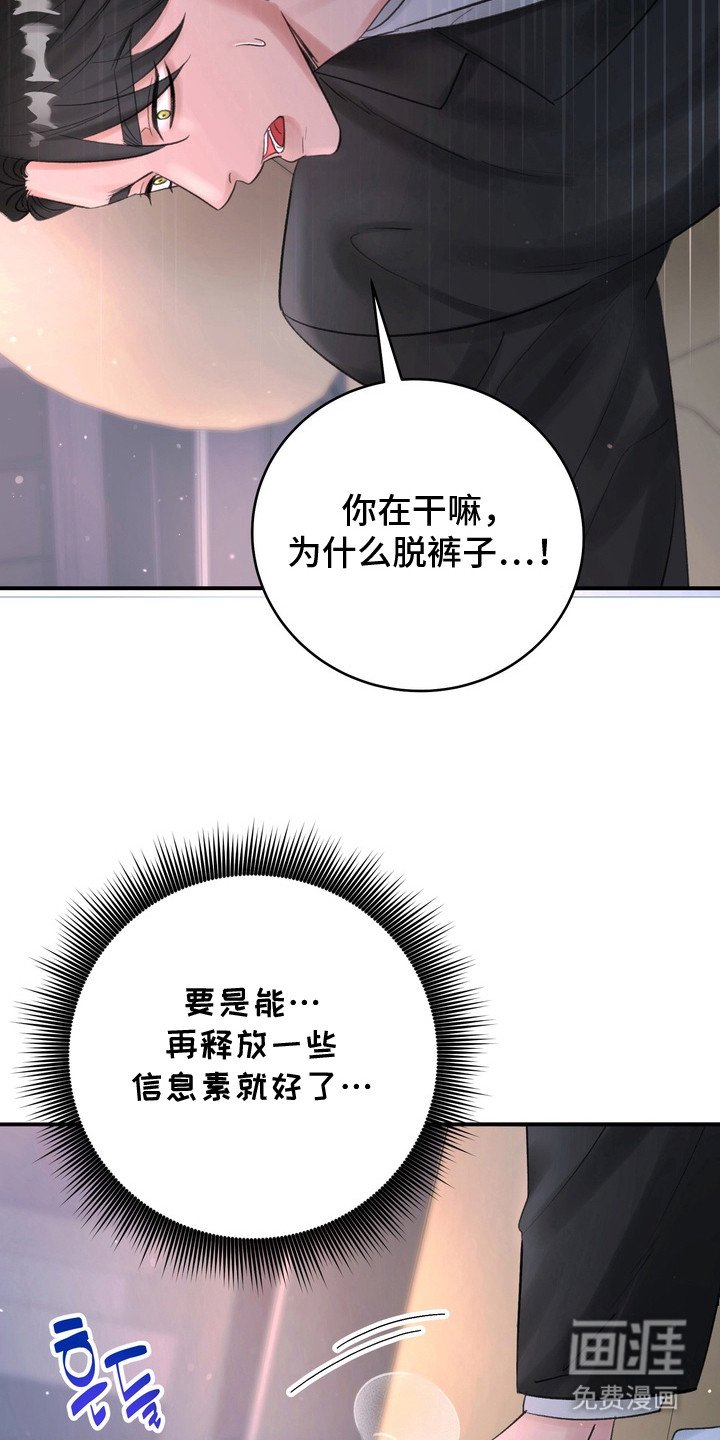 第3章：信息素