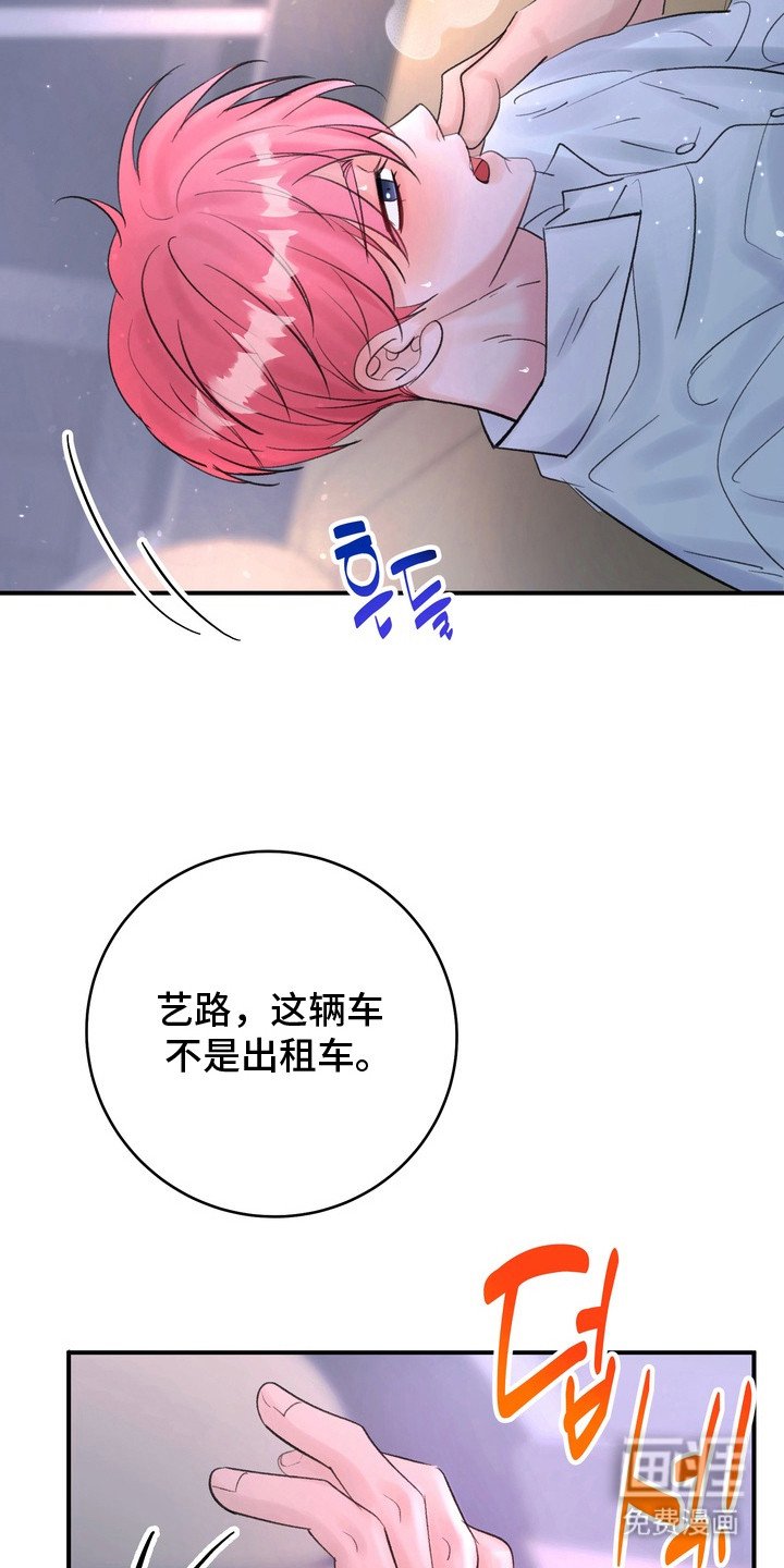 第3章：信息素