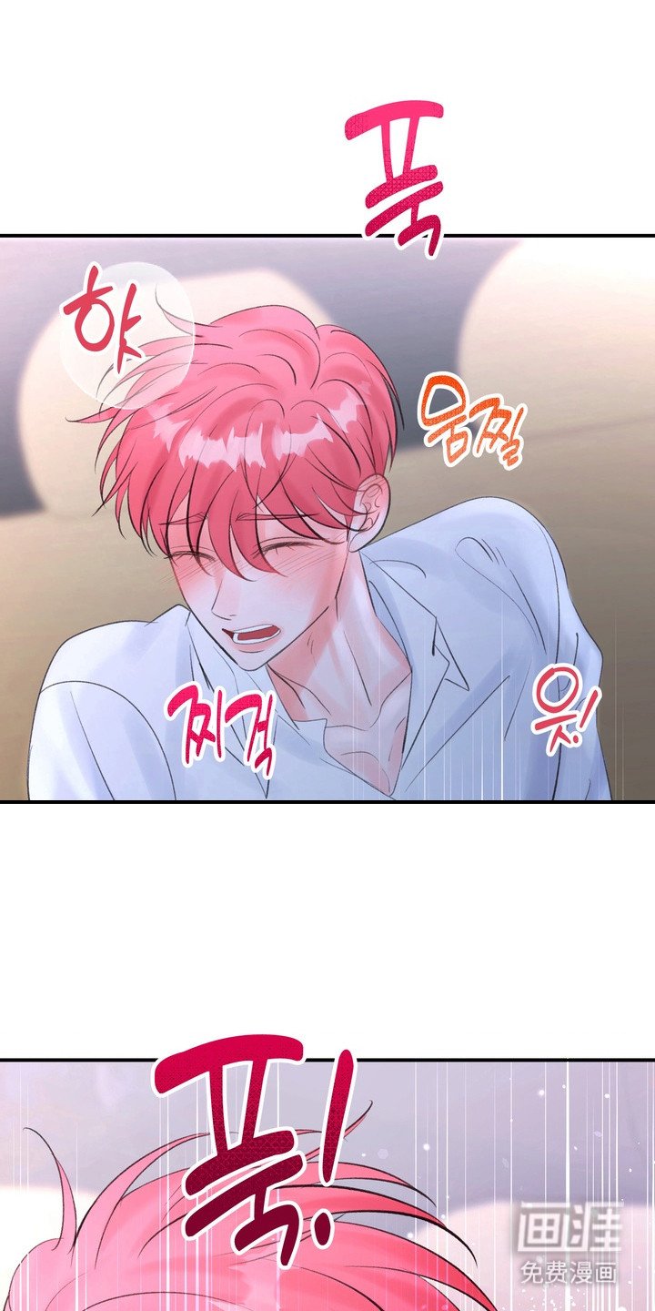 第5章：送回家