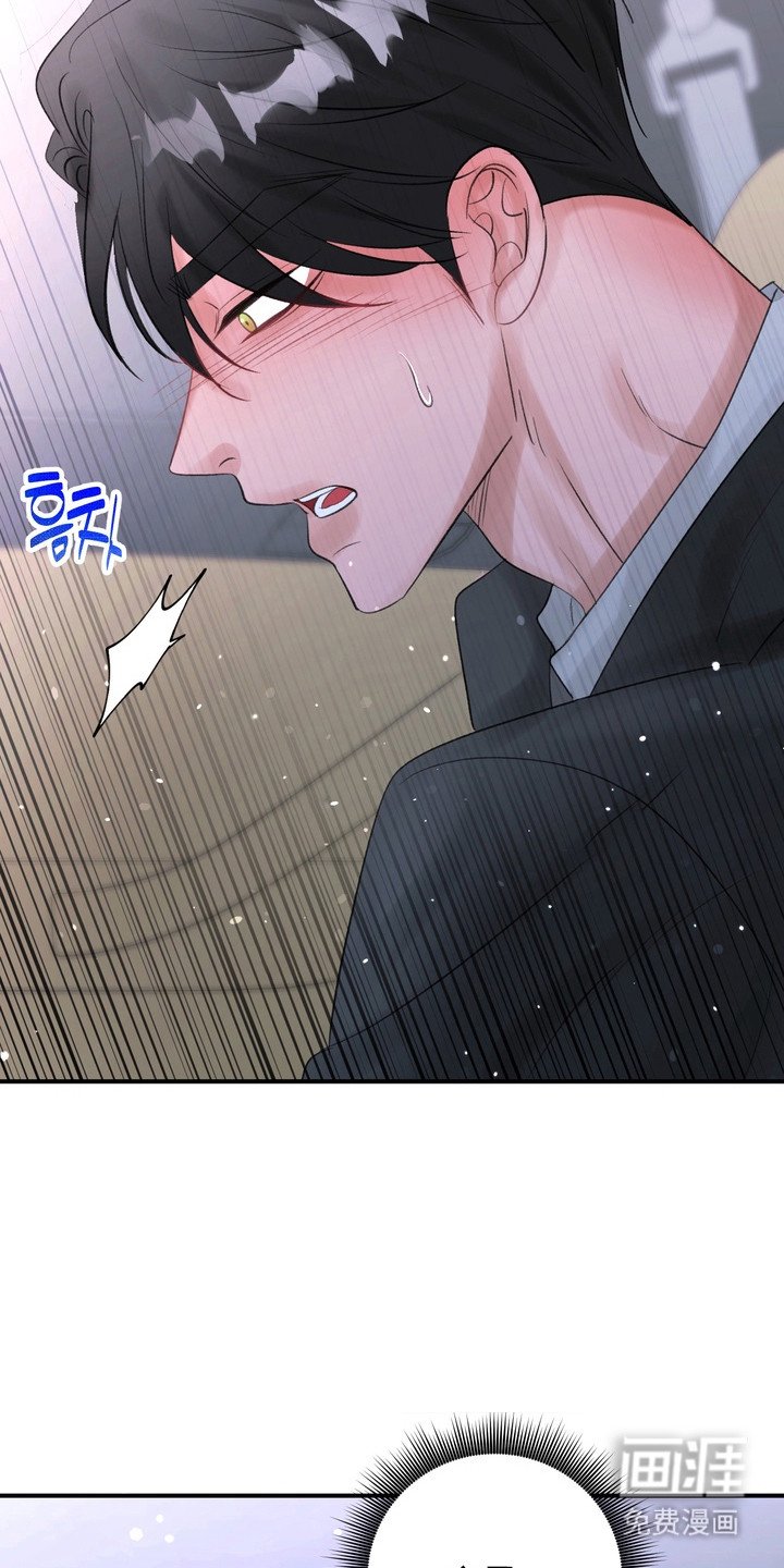 第5章：送回家