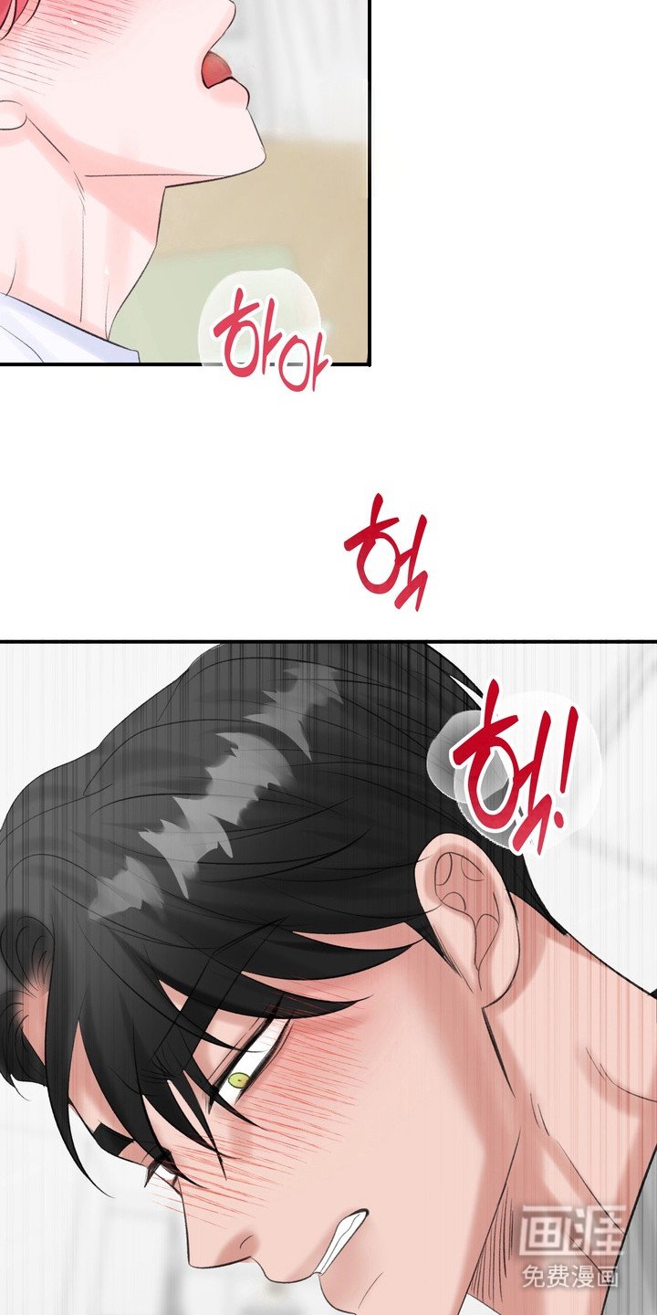第5章：送回家