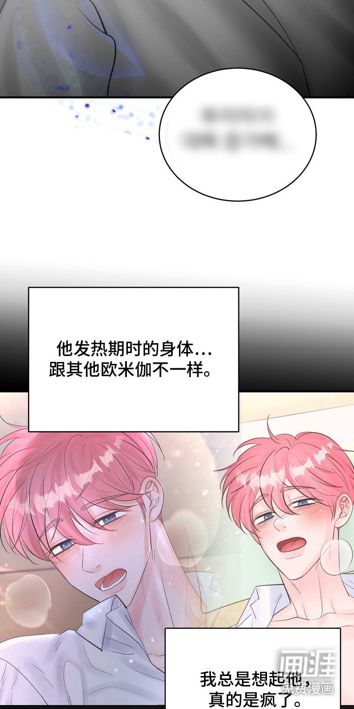 第8章：胡思乱想