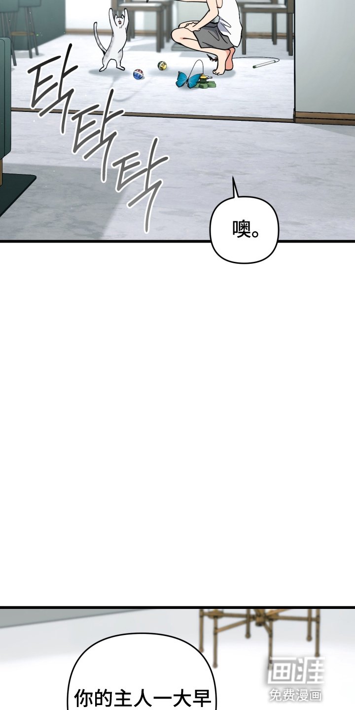 第105章：哥哥不在家