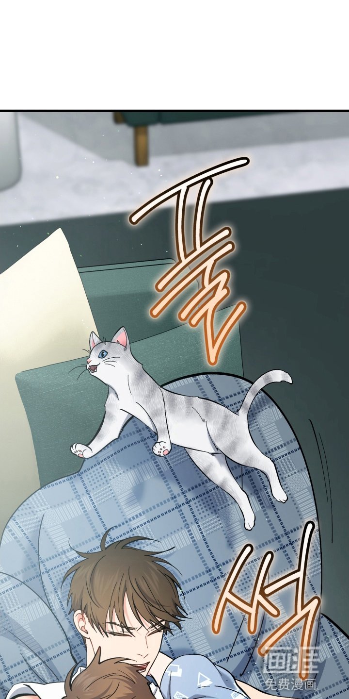 第106章：幸福