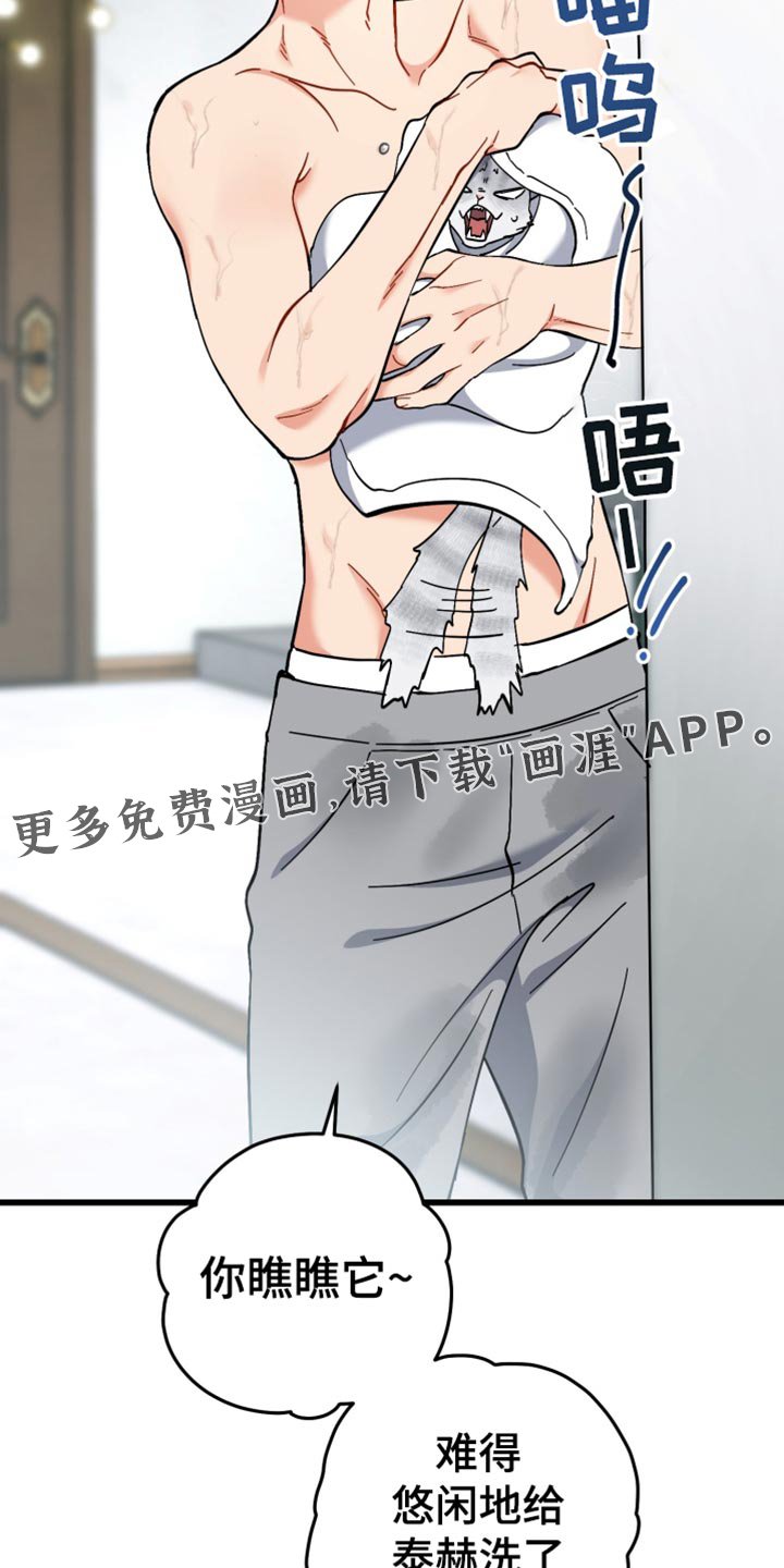 第109章：模糊