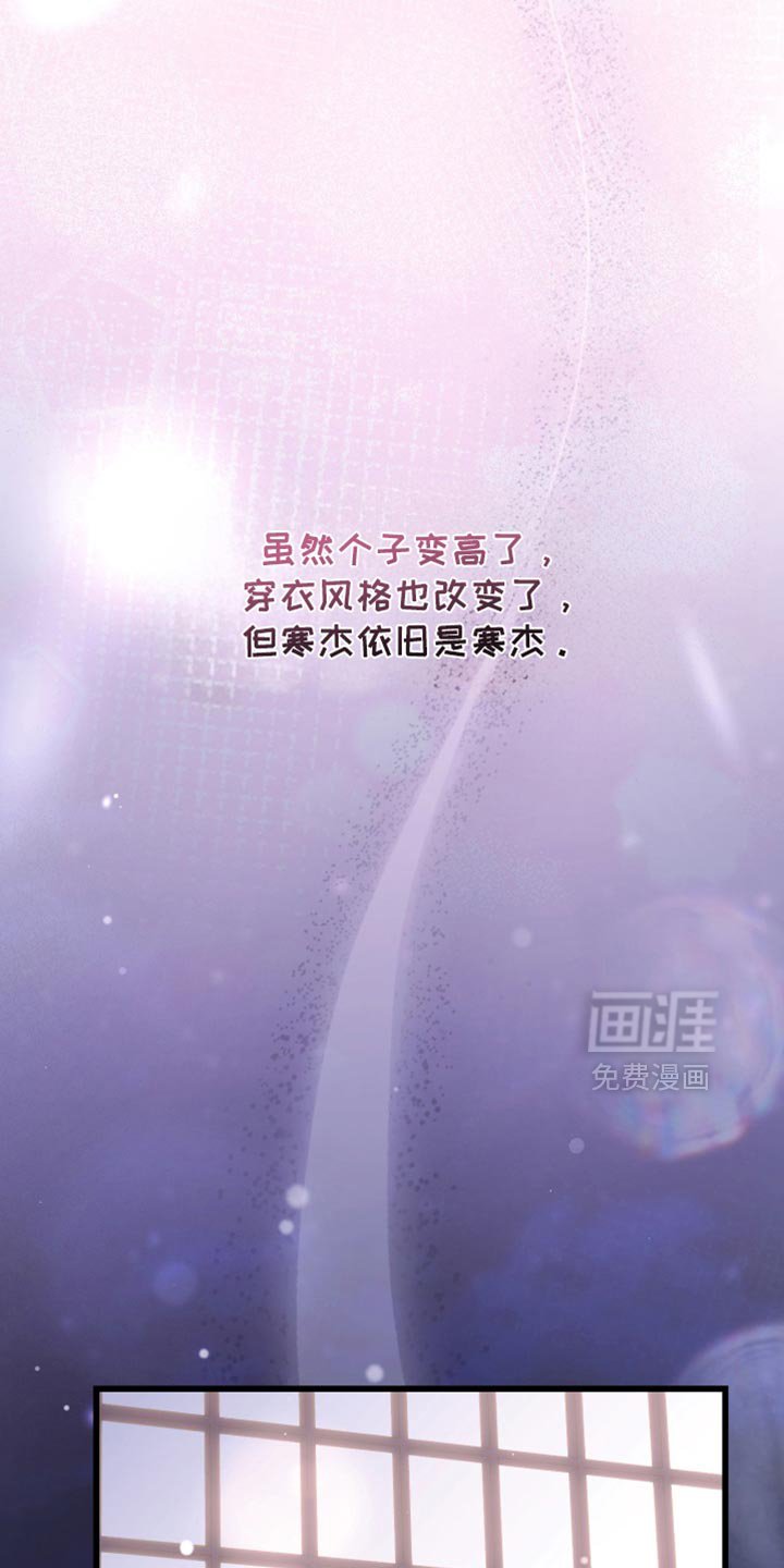 第115章：斑马线
