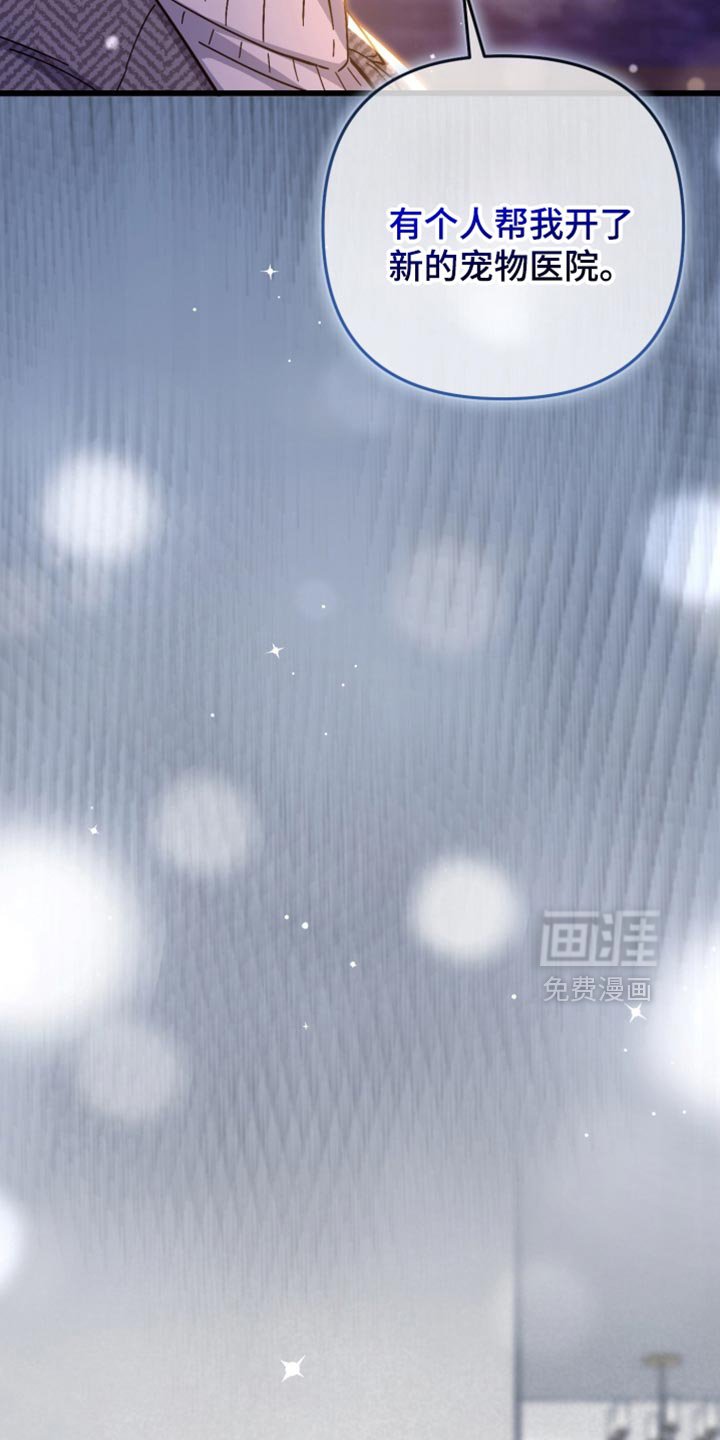第115章：斑马线