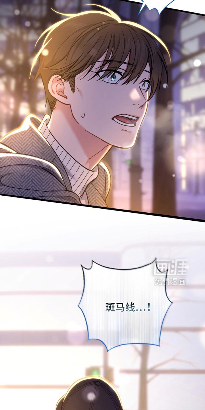 第115章：斑马线