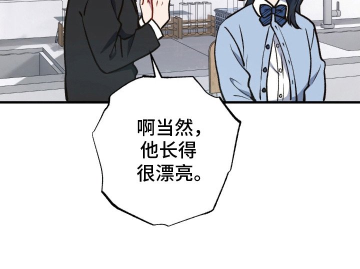第15章：恋爱咨询