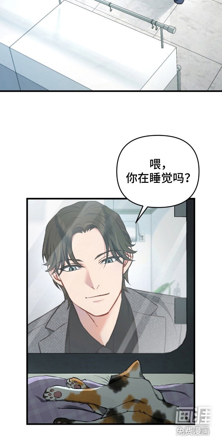 第17章：离去