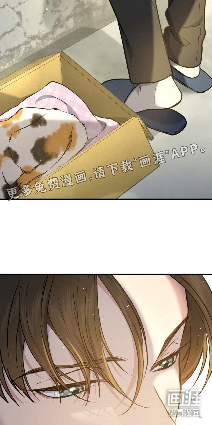 第18章：情绪激动