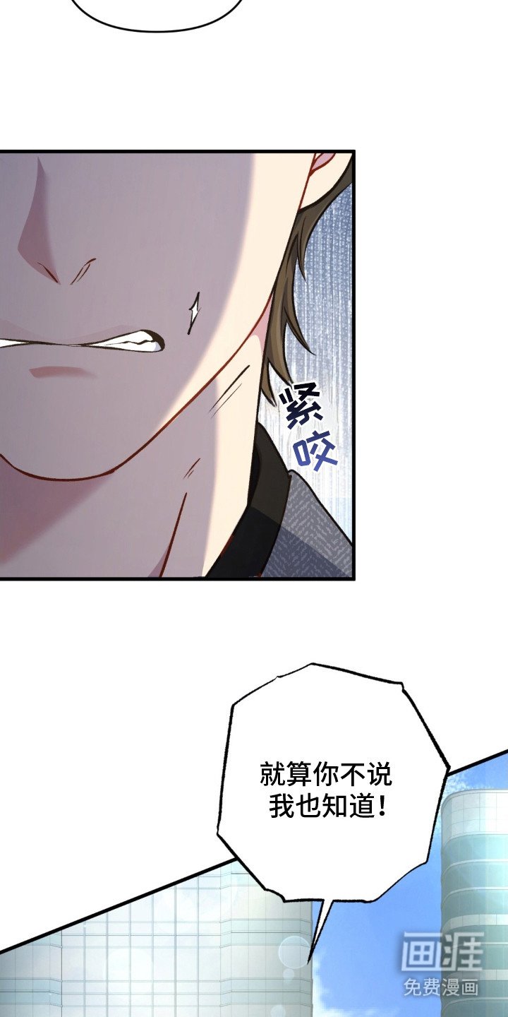 第18章：情绪激动