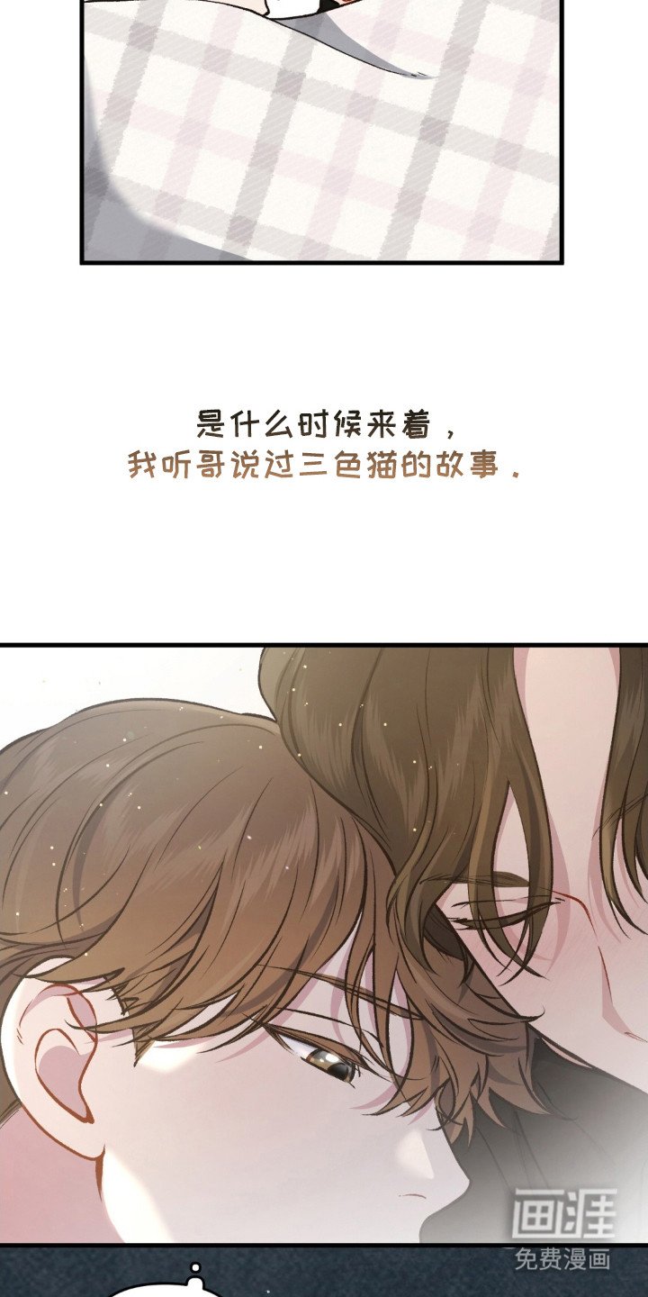 第22章：活着的意义
