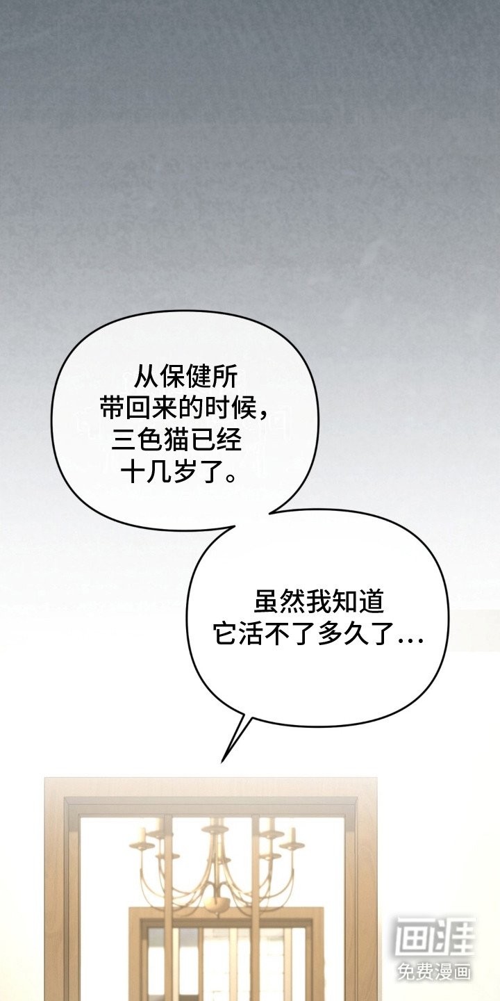 第22章：活着的意义