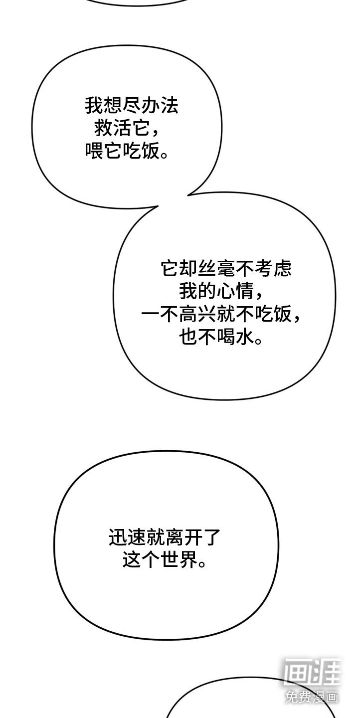 第22章：活着的意义