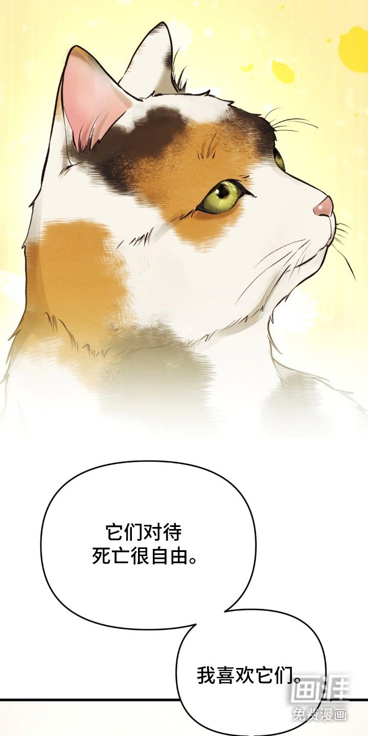 第22章：活着的意义
