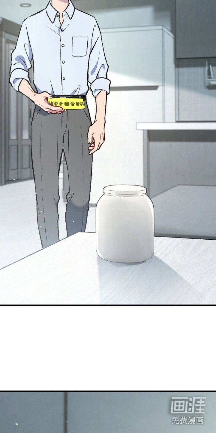 第26章：消息