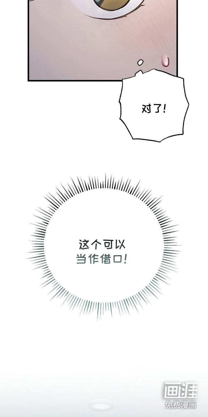 第27章：借口