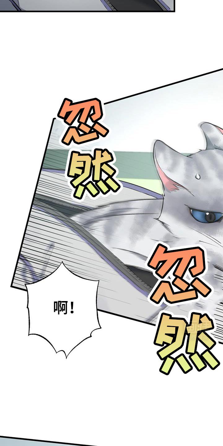 第33章：你在发光