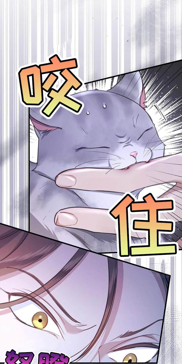 第33章：你在发光