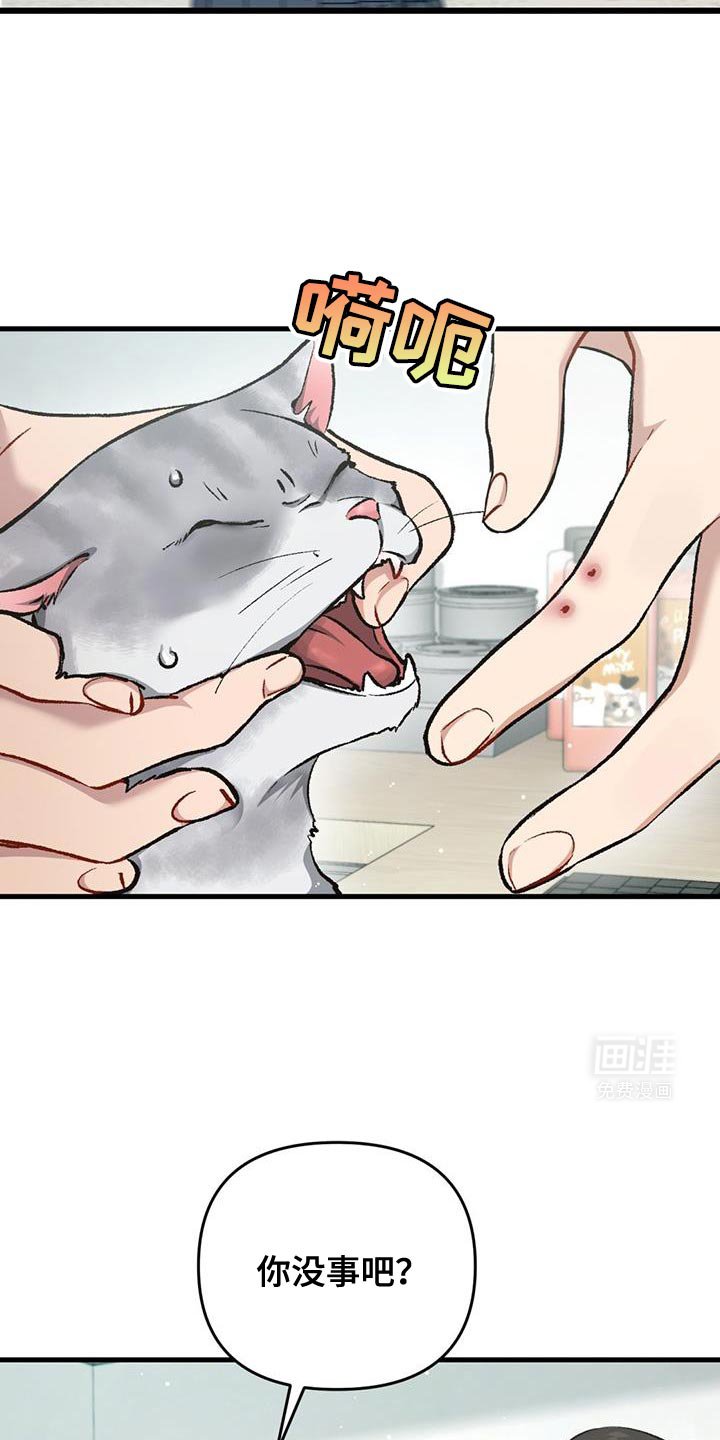第33章：你在发光