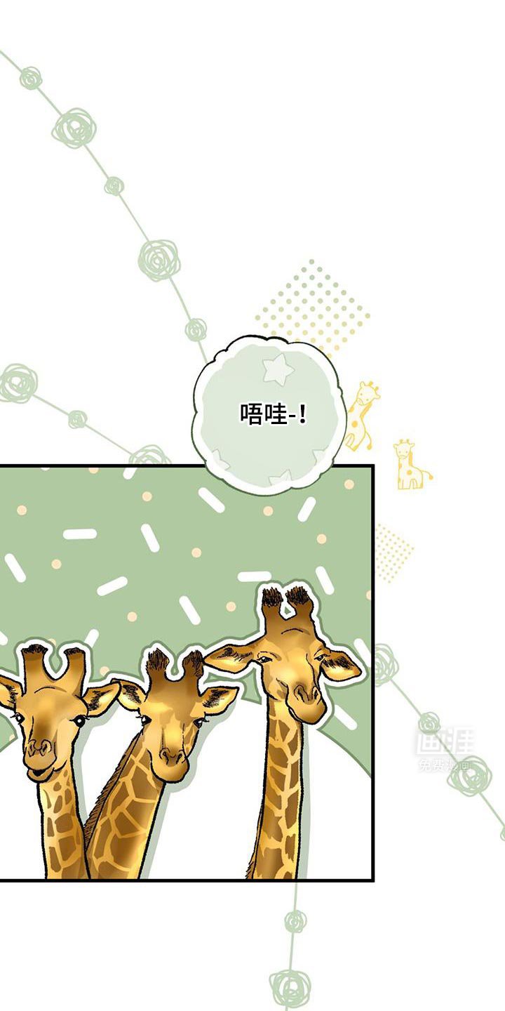 第35章：动物园