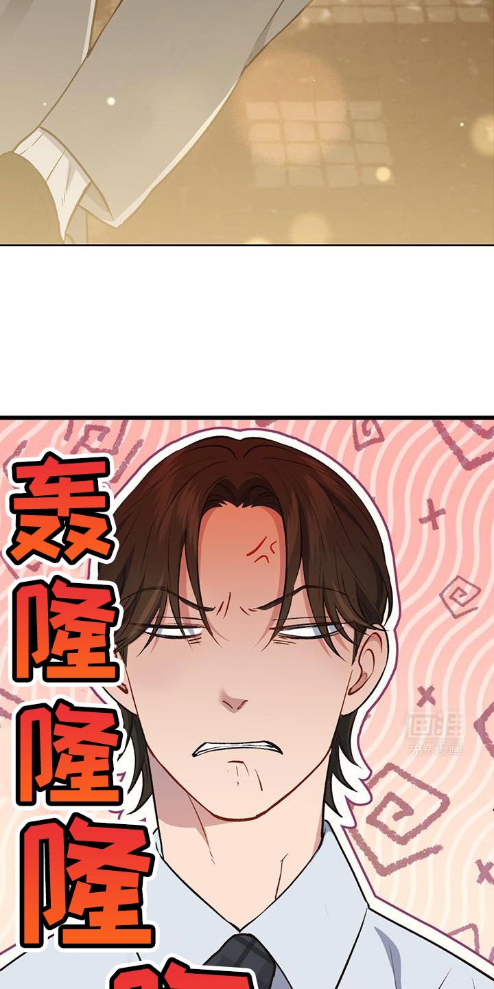 第35章：动物园