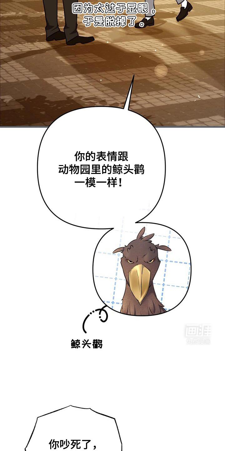 第35章：动物园