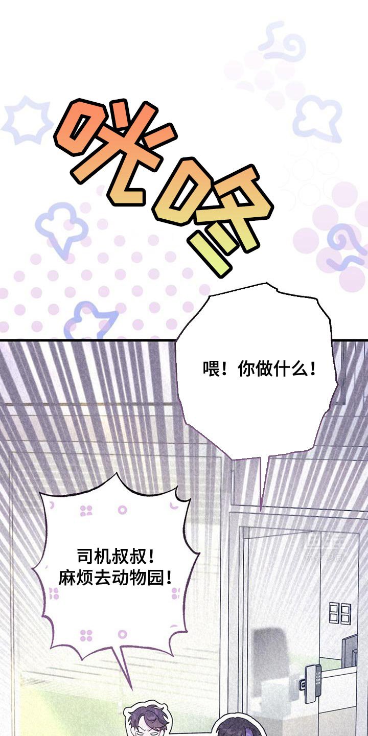 第35章：动物园