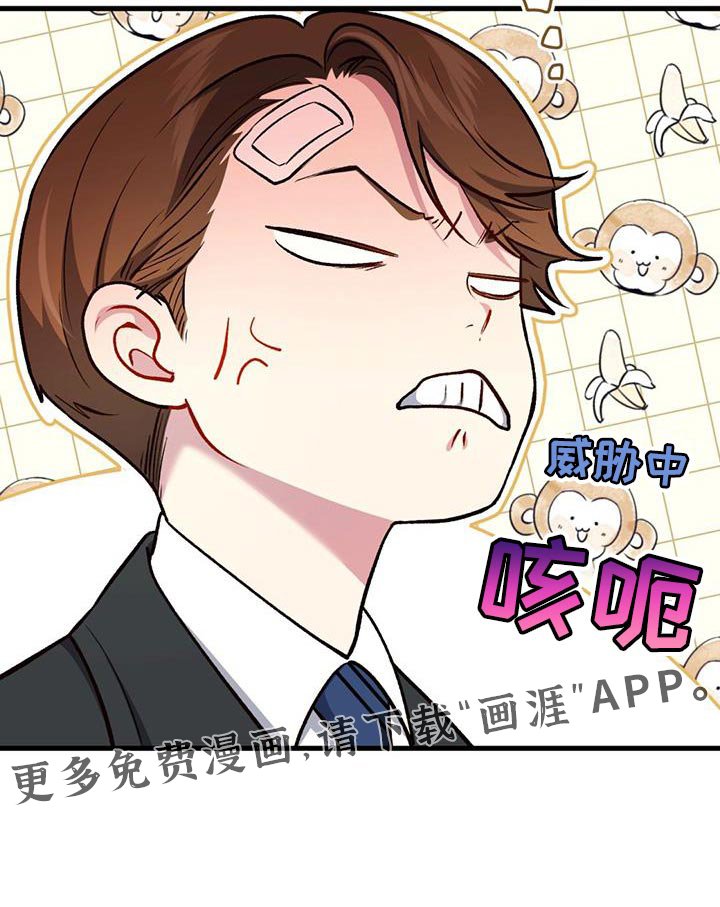 第35章：动物园