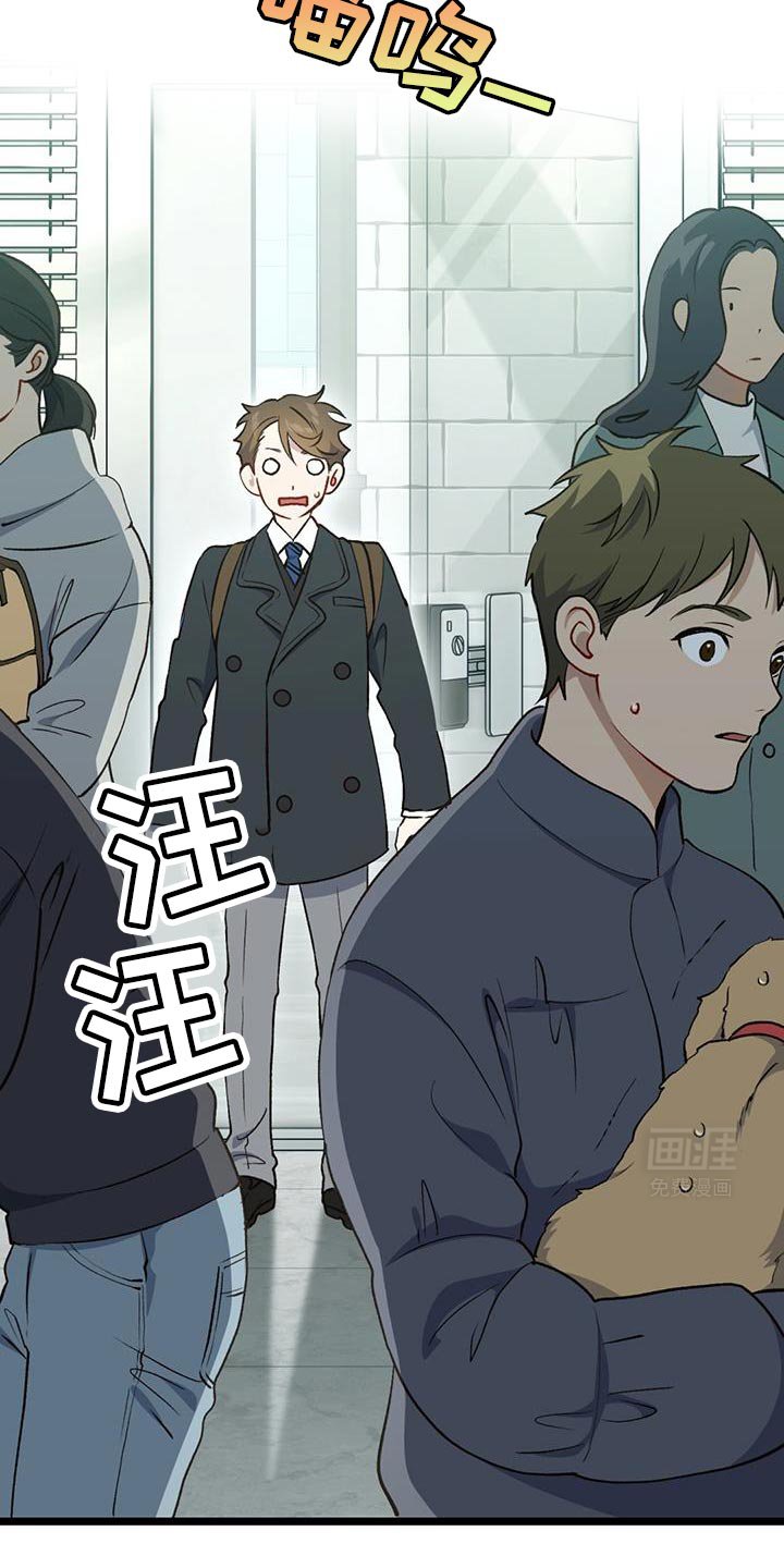 第37章：你回家吧