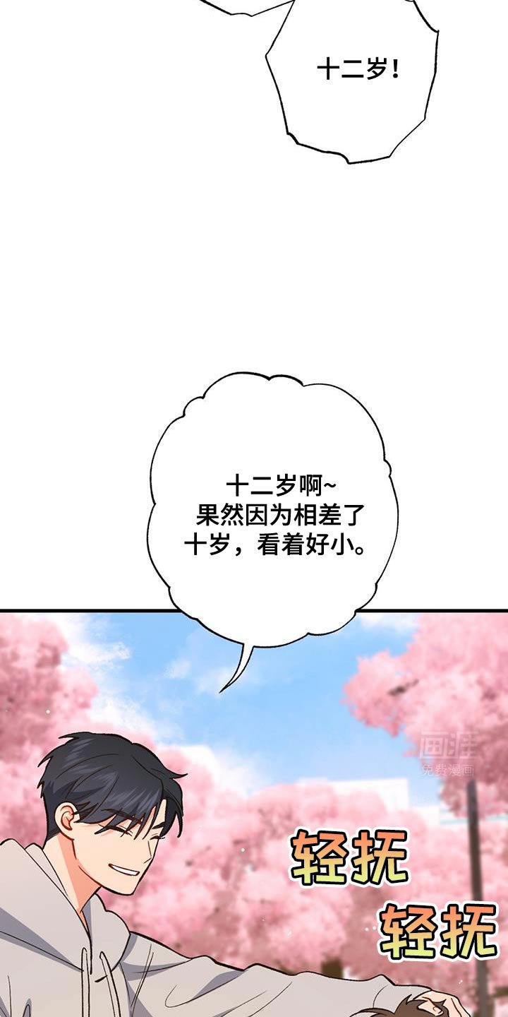 第49章：我本来是相信你的