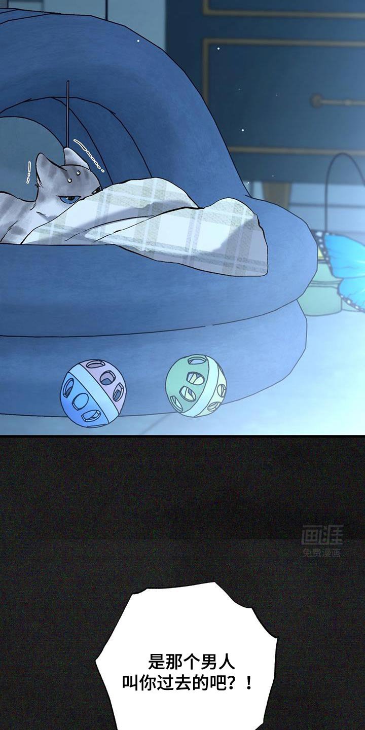 第49章：我本来是相信你的