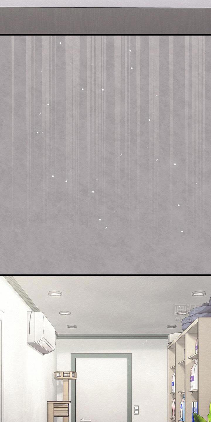 第51章：男朋友