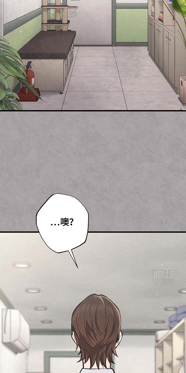 第51章：男朋友