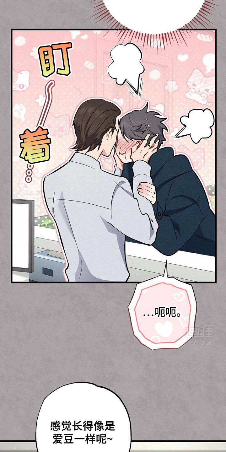 第51章：男朋友