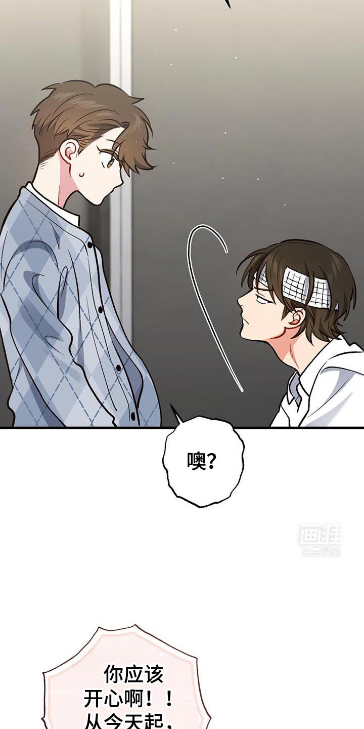 第56章：罪魁祸首