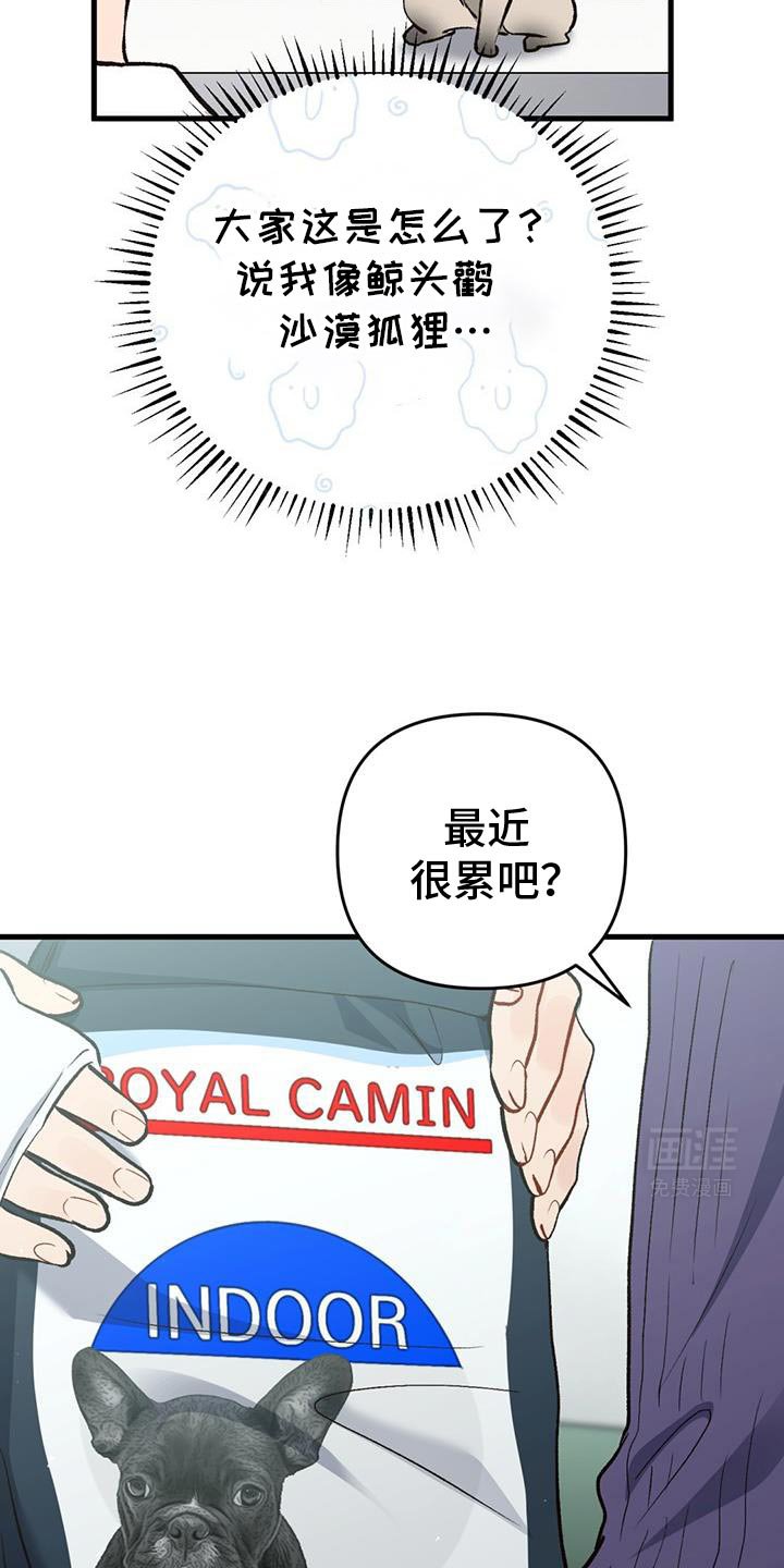 第58章：更坚强了