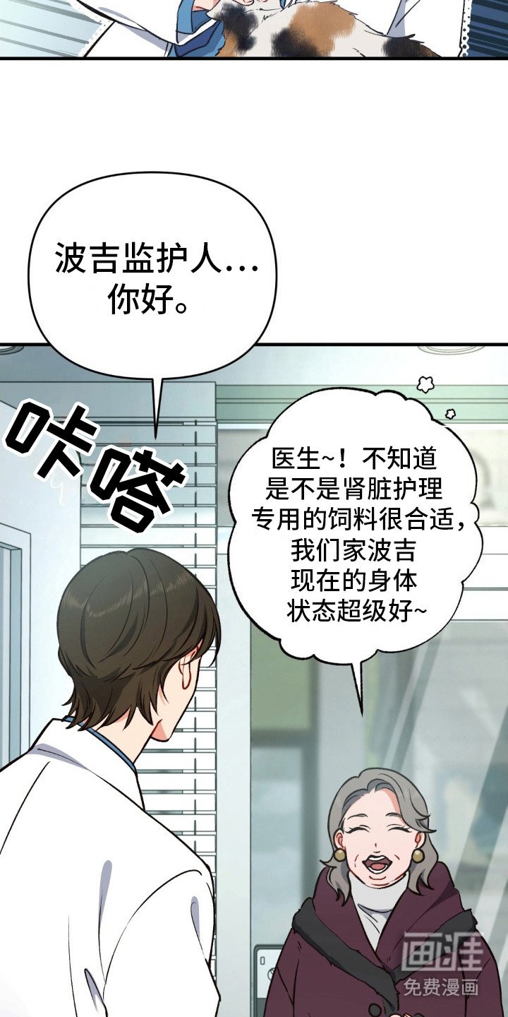 第6章：又酷又帅