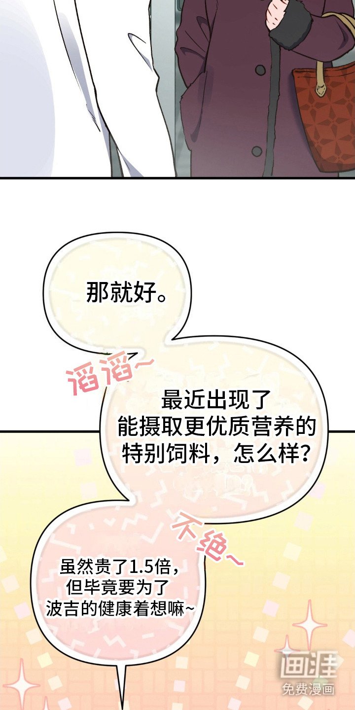 第6章：又酷又帅