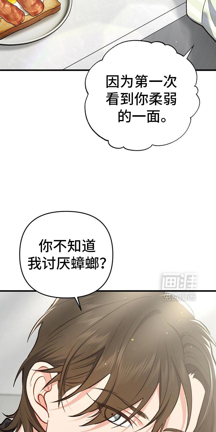 第61章：让给我吧！