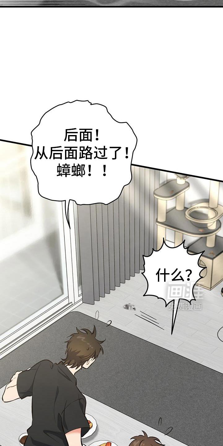 第62章：寒假结束了