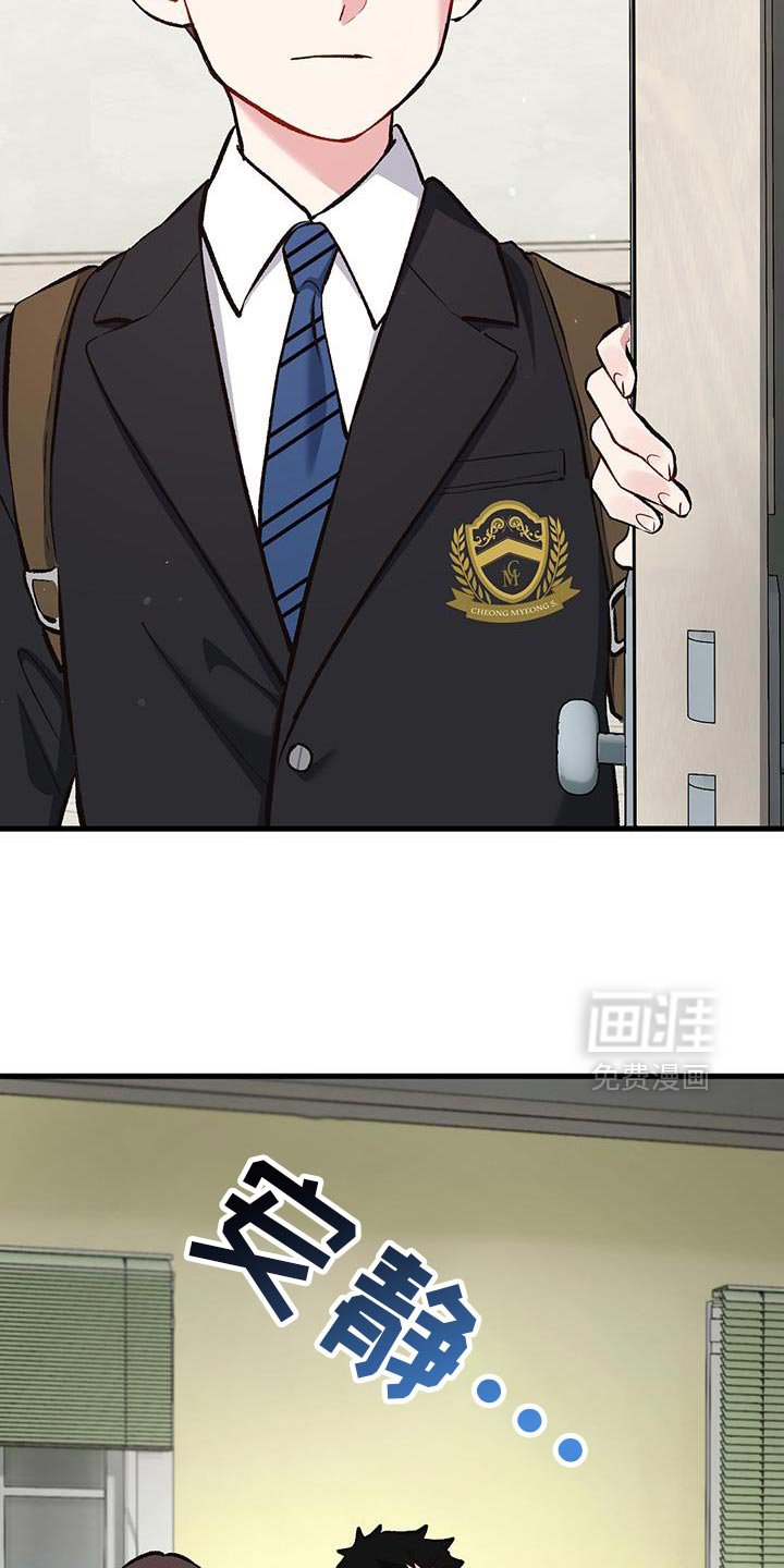 第66章：怎么回事