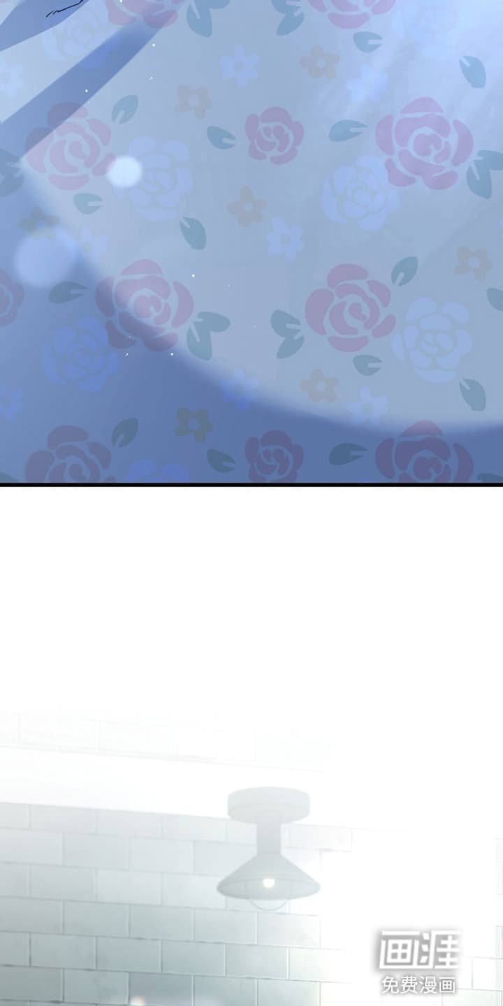 第74章：摊牌